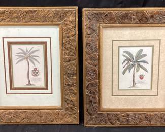 PAIR OF GEORG DIONYSIUS EHRET PALM TREE BOTANICAL PRINTS NO SHIPPING PICKUP ONLY