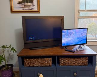 Vizio and Olevia TVs