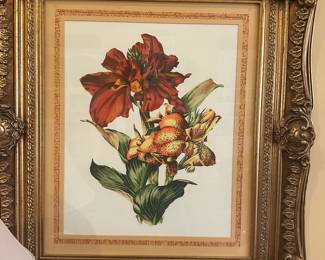 Beautifully framed floral print