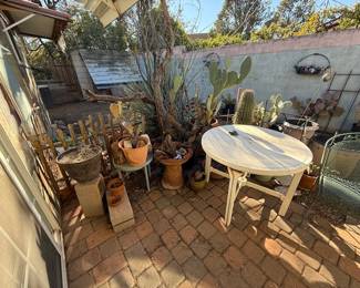 Haven't organized the outside yet, lots of pots, all sizes, some waist high, yard art, lots of cactus, old wood branches, drift wood 