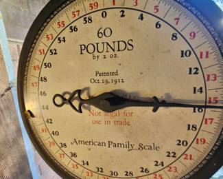 Vintage American Family Scale