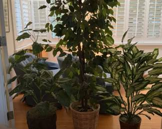 Artificial House Plants