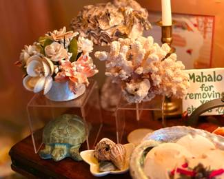 Many apologies, client removed Giant Clam in far back of image