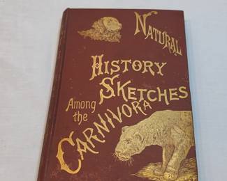 Natural History Sketches Among The Carnivora