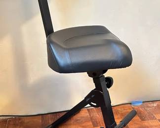 Professional Guitar Stool, Appears Unused
Lot #: 35