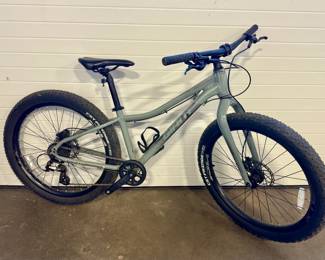 Giant XtC Jr Mountain Bike 