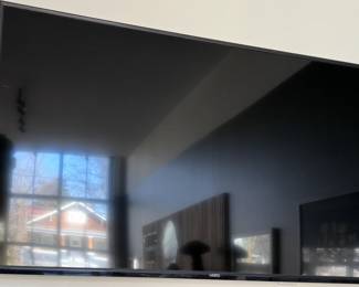 Vizio Flat Screen Television (Model V655-J04)