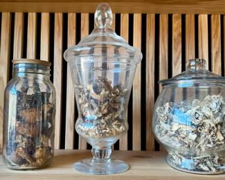 Clear Glass Apothecary Jars with Mushrooms