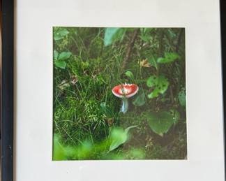 Matted/Framed Art of a Red and White Mushroom