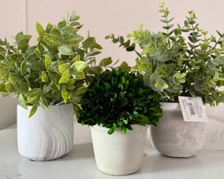 elROSE Cement Pots with Greenery