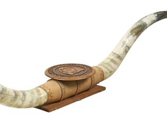 Longhorn mount featuring the University of Texas' seal carved in Texas pecan wood
height 15 in. x width 74 in. x depth 17 in.