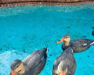 071 CEL College Green