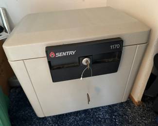 Sentry safe