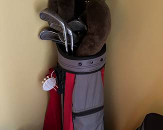 Golf clubs and bag