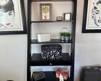Ladder shelving unit and decor