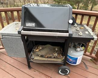 Weber gas grill