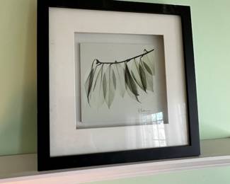 Framed wall decor......