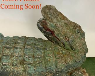 More Photos Coming Soon!