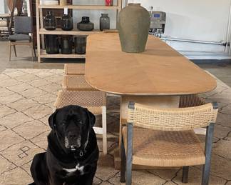 Side View with our Favorite Photo Bomber