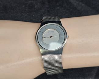 Skagen Ladies Steel Mesh Wrist Watch