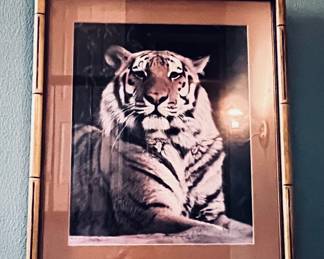 Exotic Siberian Print Framed art work