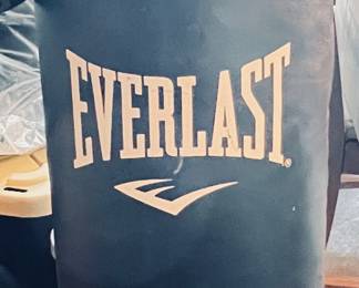 Everlast 40lbs Heavy bag 