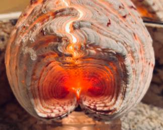 plug in lamp, design shell look.