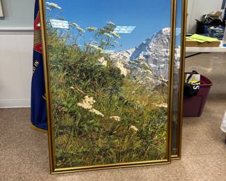 3 Large scale framed photos