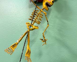 Articulated Skeleton Hanging Sculpture, $175/OBO
