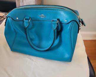 teal handbag with protective bag