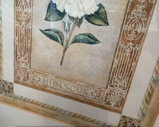 Framed Botanical Print of a White Hibiscus second image