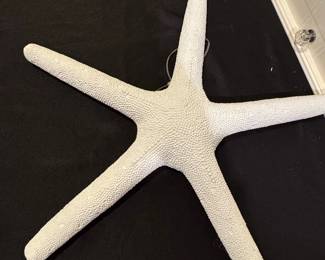White Textured Finger Starfish Decor