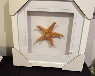 Starfish Shadow Box