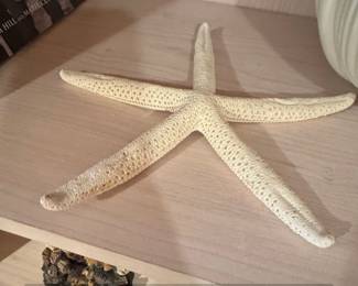 Set of Two White Ceramic Garlic Bulb Vases second image