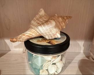 Striped Fox Conch Shell Topped Mason Jar with Sea Glass and Shells