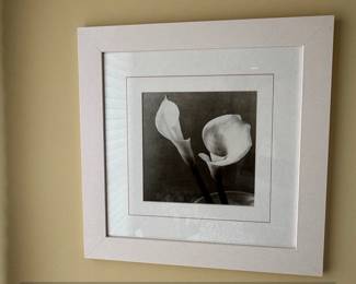 Two Calla Lilies Photograph by Imogen Cunningham