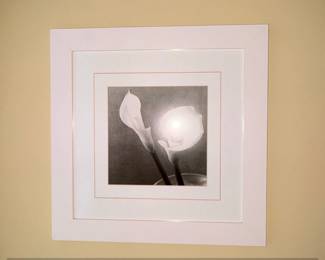 Framed Black and White Photograph of Two Calla Lilies by Imogen Cunningham