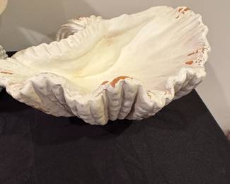 Giant Clam Shell Sculpture