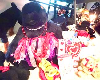 Valentine's Day decor and stuff animals