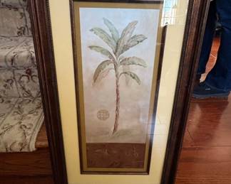 Framed Botanical Print of a Banana Palm Tree