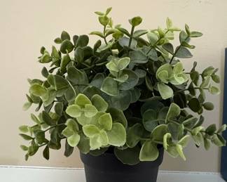 Artificial Eucalyptus Plant in Black Pot