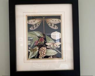 Vintage Whimsical Dragonfly on Black I Print by Vision Studio