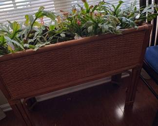 Vintage Wicker Planter Stand with Christmas Cactus