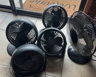5 fans!