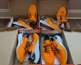 Nike Air Zoom Tennessee Men size 9