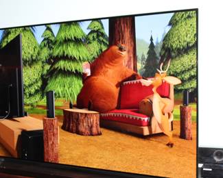 55" LG OLED TV