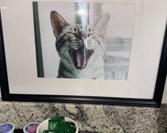 Cat art