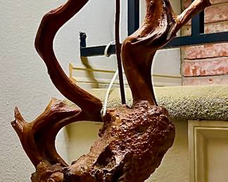 Burl wood floor lamp 