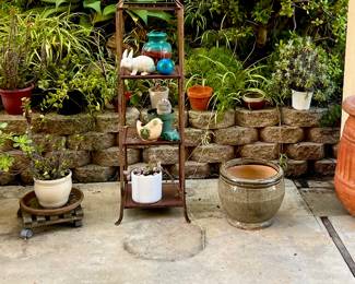 Plants and pots 
