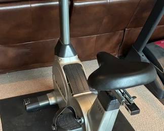 True ES900 Stationary Bike
